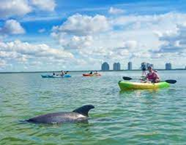Kayak-Tour
